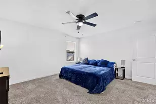 309 Carolyn Cir, Wright City, MO 63390 - Photo 19