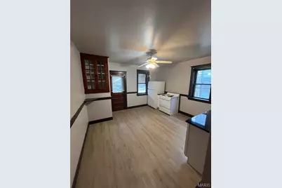 4028 S Spring Avenue, Saint Louis, MO 63116 - Photo 13