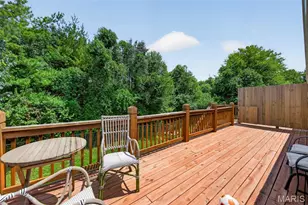 384-386 Shadow Pines Dr, Wentzville, MO 63385 - Photo 65