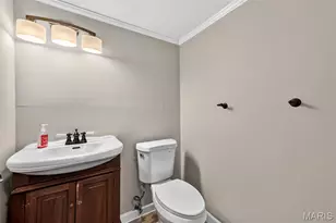 314 Carmel Woods Dr, Ellisville, MO 63021 - Photo 21