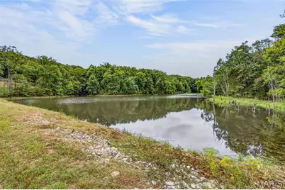 738 Johnson Road, Bloomsdale, MO 63627 - Photo 25
