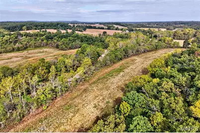 65.2 +/- Ac Tavern Creek Road, Imperial, MO 65486 - Photo 37