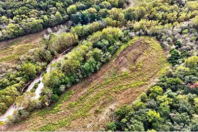 65.2 +/- Ac Tavern Creek Road, Imperial, MO 65486 - Photo 25