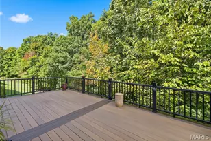 334 Palisades Ridge Ct, Eureka, MO 63025 - Photo 19