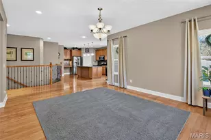223 Lone Wolf Dr, Festus, MO 63028 - Photo 43
