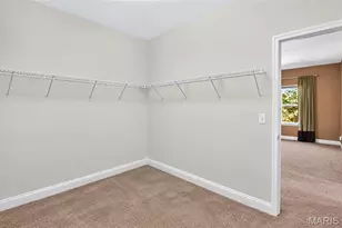 223 Lone Wolf Dr, Festus, MO 63028 - Photo 57