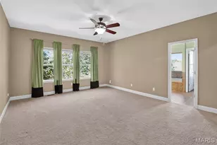 223 Lone Wolf Dr, Festus, MO 63028 - Photo 49