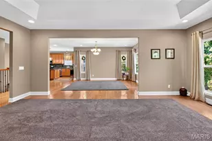223 Lone Wolf Dr, Festus, MO 63028 - Photo 29