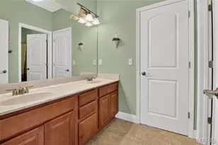 223 Lone Wolf Dr, Festus, MO 63028 - Photo 63