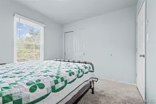 3 Bradley Ct, Desloge, MO 63601 - Photo 39