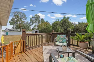 3 Bradley Ct, Desloge, MO 63601 - Photo 49