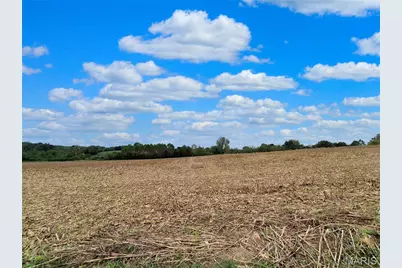 0 Highway B (Tract B - 17+/- Acres), Elsberry, MO 63343 - Photo 7