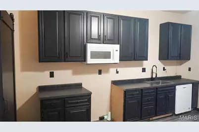 1215 N Euclid Avenue, Saint Louis, MO 63113 - Photo 13
