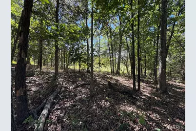5914 Greenwood Drive, Hillsboro, MO 63050 - Photo 7