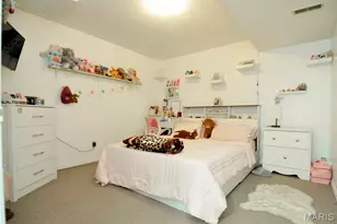 2343 Telegraph Rd, Saint Louis, MO 63125 - Photo 49