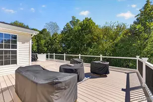 314 Coley Ct, Wentzville, MO 63385 - Photo 51