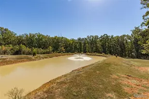 1570 Pine Ridge Trail, Park Hills, MO 63601 - Photo 7