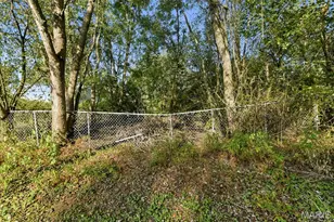10 Gage Rd, Weldon Spring, MO 65026 - Photo 27