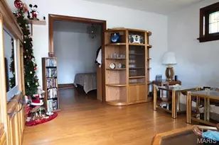 3923 Alexander St, Saint Louis, MO 63116 - Photo 23