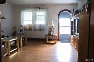 3923 Alexander St, Saint Louis, MO 63116 - Photo 21