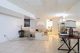 3923 Alexander St, Saint Louis, MO 63116 - Photo 35
