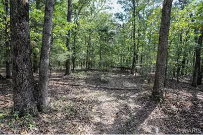 0 County Road 505, Greendale, MO 63944 - Photo 9