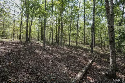 0 County Road 505, Greendale, MO 63944 - Photo 5