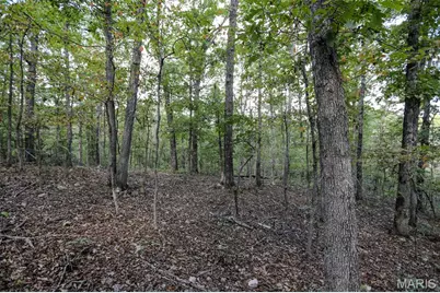 0 County Road 505, Greendale, MO 63944 - Photo 1