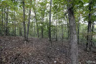 0 Co Rd 505, Greendale, MO 63944 - Photo 1