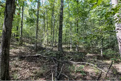 0 County Road 505, Greendale, MO 63944 - Photo 3