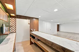 7305 Coronado Ave, Saint Louis, MO 63116 - Photo 29