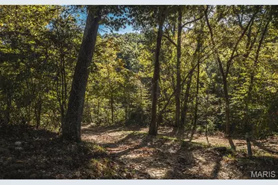 10206 Slice Road, Sullivan, MO 63080 - Photo 65