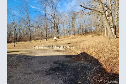 138 Mulberry Street, Greendale, MO 63944 - Photo 5