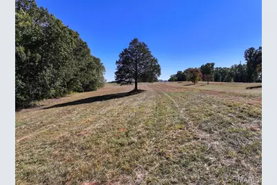 11441 Carron Road, Bloomsdale, MO 63627 - Photo 43