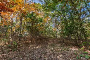 10224 Cedar Tree Ln, Dittmer, MO 63023 - Photo 53