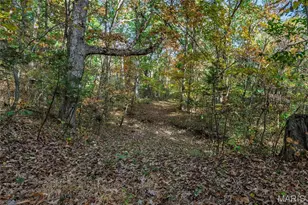 10224 Cedar Tree Ln, Dittmer, MO 63023 - Photo 51