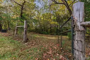 10224 Cedar Tree Ln, Dittmer, MO 63023 - Photo 55