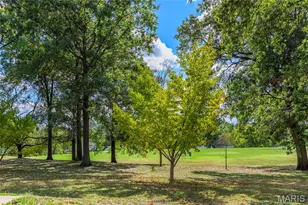 125 E Frisco Ave, Webster Groves, MO 63119 - Photo 37