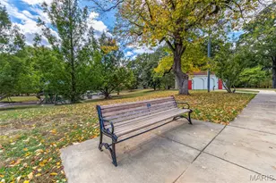 125 E Frisco Ave, Webster Groves, MO 63119 - Photo 43