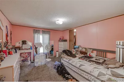 15088 Cannon Mines Road, Cadet, MO 63630 - Photo 15