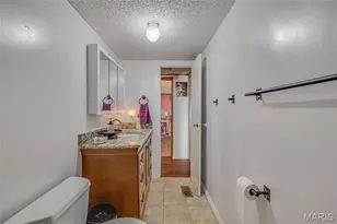 15088 Cannon Mines Rd, Cadet, MO 63630 - Photo 19