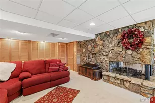 6549 Butcher Branch Rd, Hillsboro, MO 63050 - Photo 47