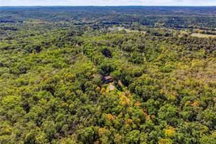 6549 Butcher Branch Rd, Hillsboro, MO 63050 - Photo 75