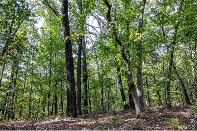 00 Baha Drive, Sullivan, MO 63080 - Photo 3