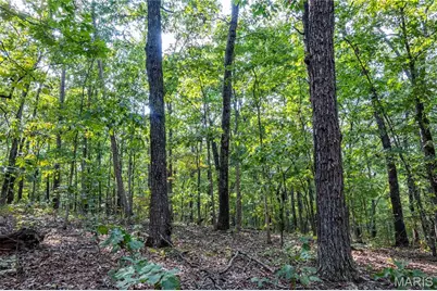 00 Baha Drive, Sullivan, MO 63080 - Photo 25