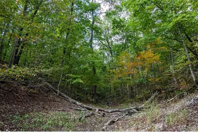 00 Baha Drive, Sullivan, MO 63080 - Photo 15