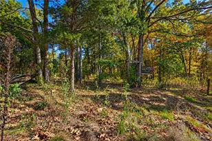 310 Linda Dr, Lonedell, MO 63060 - Photo 13