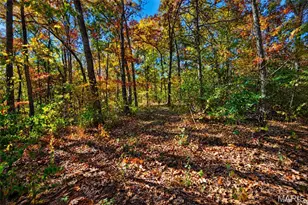 310 Linda Dr, Lonedell, MO 63060 - Photo 19