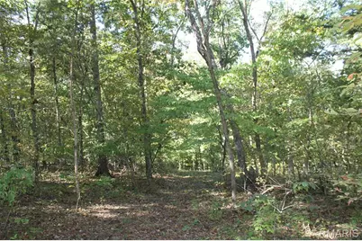 161 Gibson Creek Road, Saint Clair, MO 63077 - Photo 79