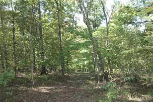 161 Gibson Creek Rd, Saint Clair, MO 63077 - Photo 79